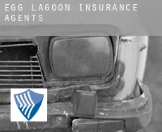 Egg Lagoon  insurance agents