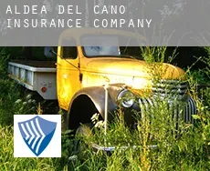 Aldea del Cano  insurance company
