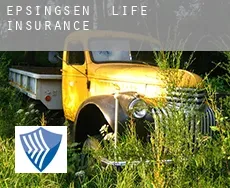 Epsingsen  life insurance