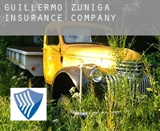 Guillermo Zúñiga  insurance company
