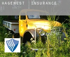 Hagenest  insurance