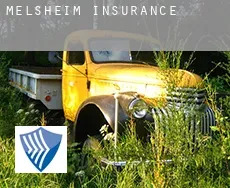 Melsheim  insurance
