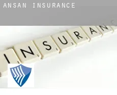 Ansan  insurance