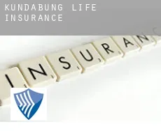 Kundabung life insurance