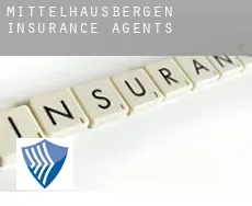 Mittelhausbergen  insurance agents