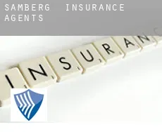 Samberg  insurance agents