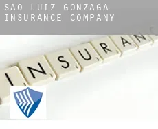 São Luiz Gonzaga  insurance company