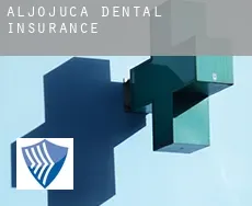 Aljojuca  dental insurance