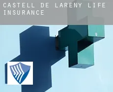 Castell de l'Areny  life insurance