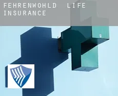 Fehrenwohld  life insurance