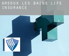 Gréoux-les-Bains  life insurance