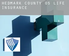 Os (Hedmark county) life insurance