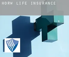 Horw  life insurance
