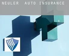 Neuler  auto insurance