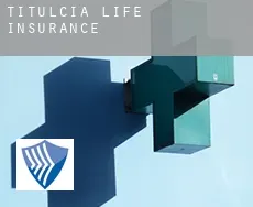Titulcia  life insurance