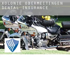 Kolonie Obermeitingen  dental insurance