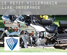 Le Petit Villemongin  life insurance