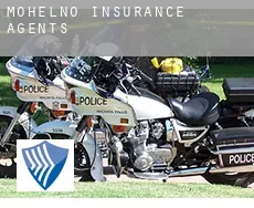Mohelno  insurance agents