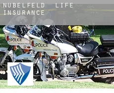 Nübelfeld  life insurance