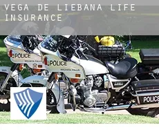 Vega de Liébana life insurance