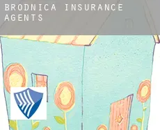 Brodnica  insurance agents