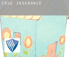 Cruz  insurance
