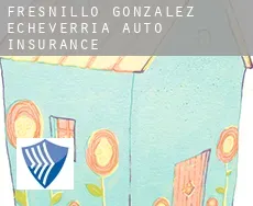Fresnillo de González Echeverría auto insurance