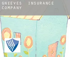 Gneeves  insurance company