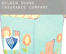 Golden Downs  insurance company