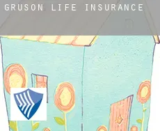 Gruson  life insurance