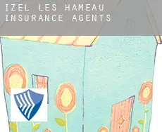 Izel-lès-Hameau  insurance agents