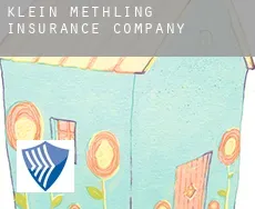 Klein Methling  insurance company