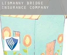 Lismanny Bridge  insurance company