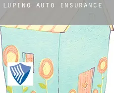 Lupino  auto insurance