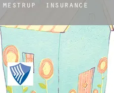 Mestrup  insurance