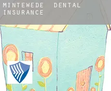 Mintewede  dental insurance