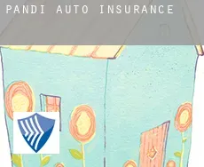 Pandi  auto insurance