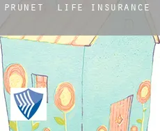 Prunet  life insurance