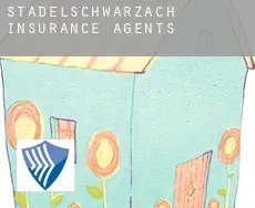 Stadelschwarzach  insurance agents