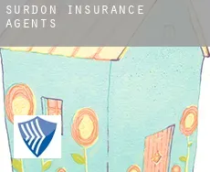 Surdon insurance agents