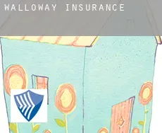 Walloway  insurance
