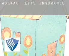Wolkau  life insurance