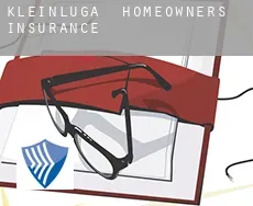 Kleinluga homeowners insurance
