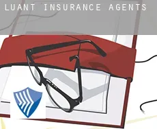 Luant  insurance agents
