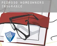 Pedroso  homeowners insurance