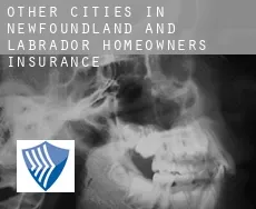 Other cities in Newfoundland and Labrador  homeowners insurance
