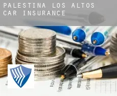 Palestina de los Altos  car insurance