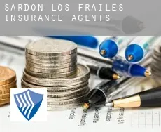 Sardón de los Frailes  insurance agents