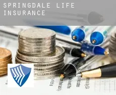 Springdale life insurance