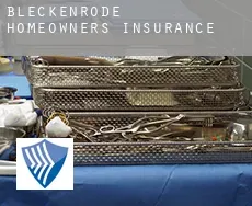 Bleckenrode  homeowners insurance